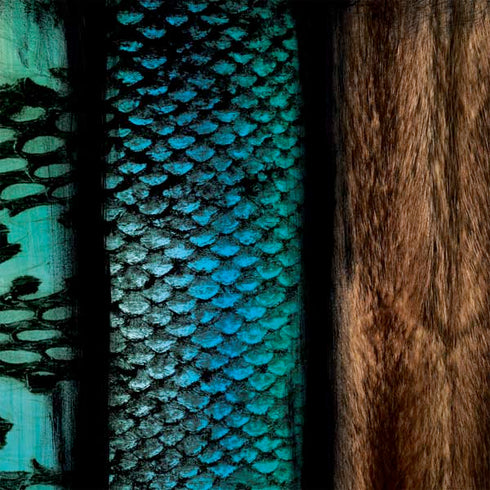 Animal Print Fashion Nintendo 2DS XL (2017) Skin